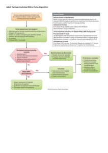 Algorithm ACLS Tachycardia 2025